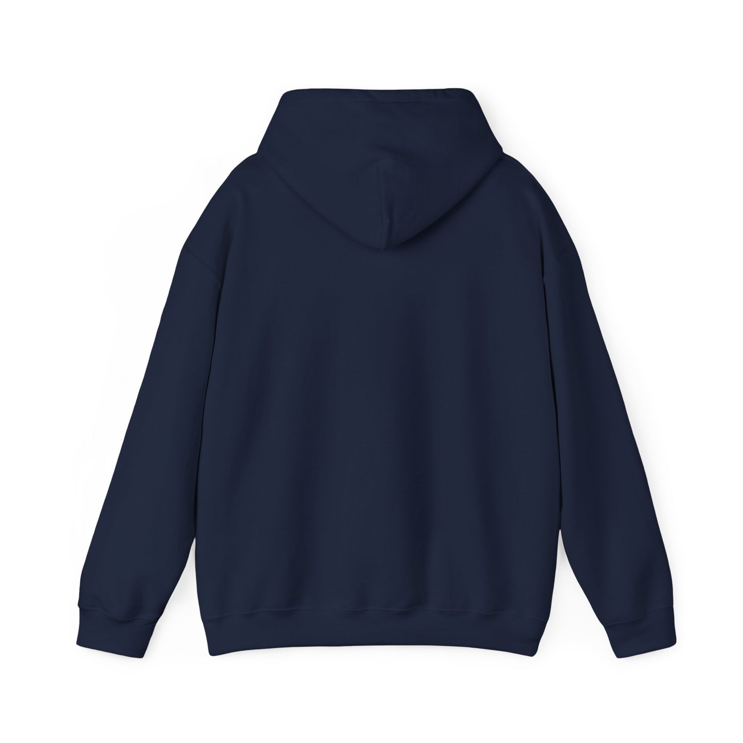 Chasing Golden Hours Hoodie | summer aesthetic, coastal vibes