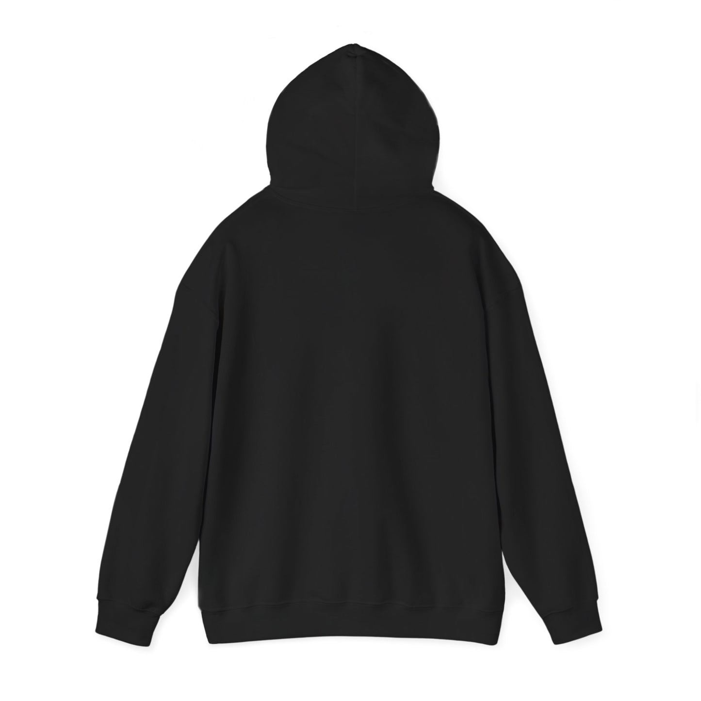 Chasing Golden Hours Hoodie | summer aesthetic, coastal vibes