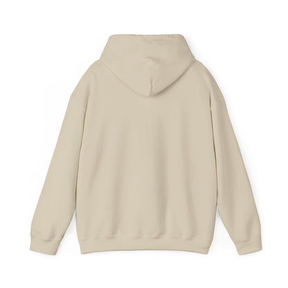 Chasing Golden Hours Hoodie | summer aesthetic, coastal vibes