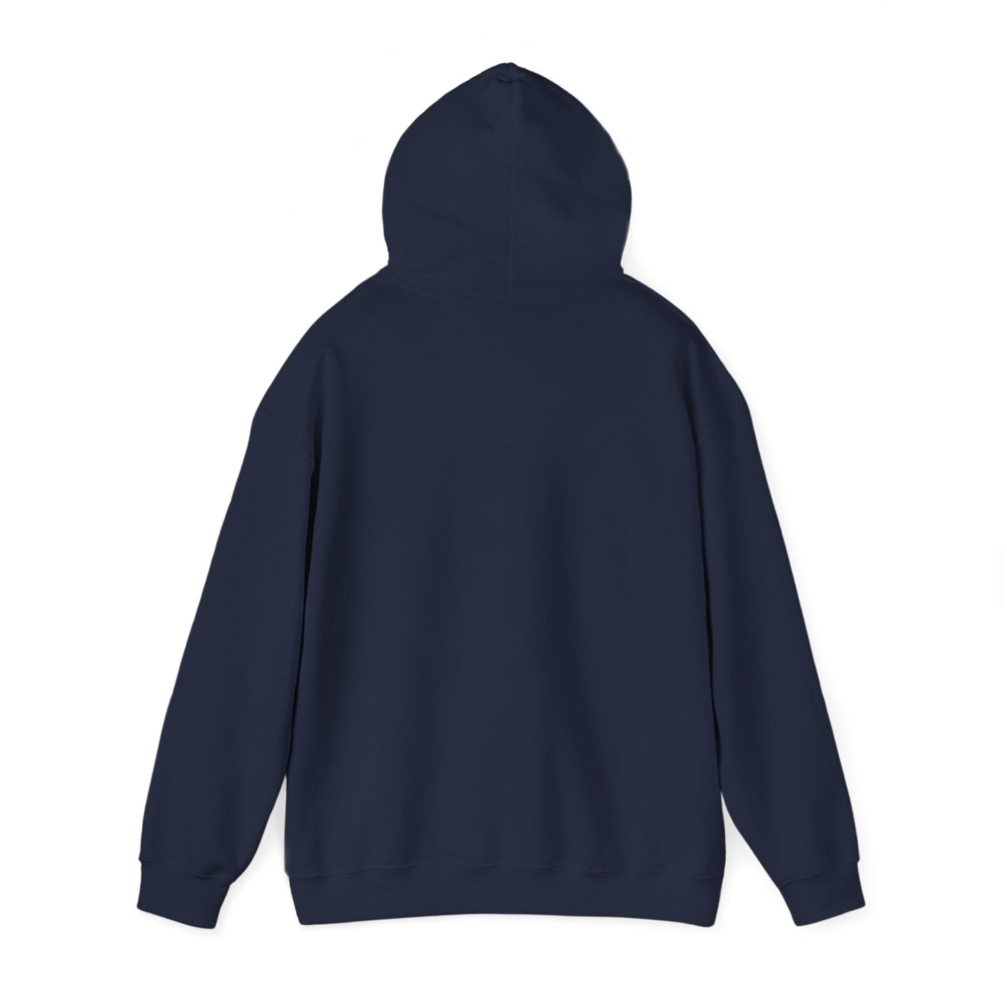 Chasing Golden Hours Hoodie | summer aesthetic, coastal vibes