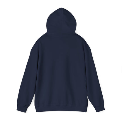 Chasing Golden Hours Hoodie | summer aesthetic, coastal vibes