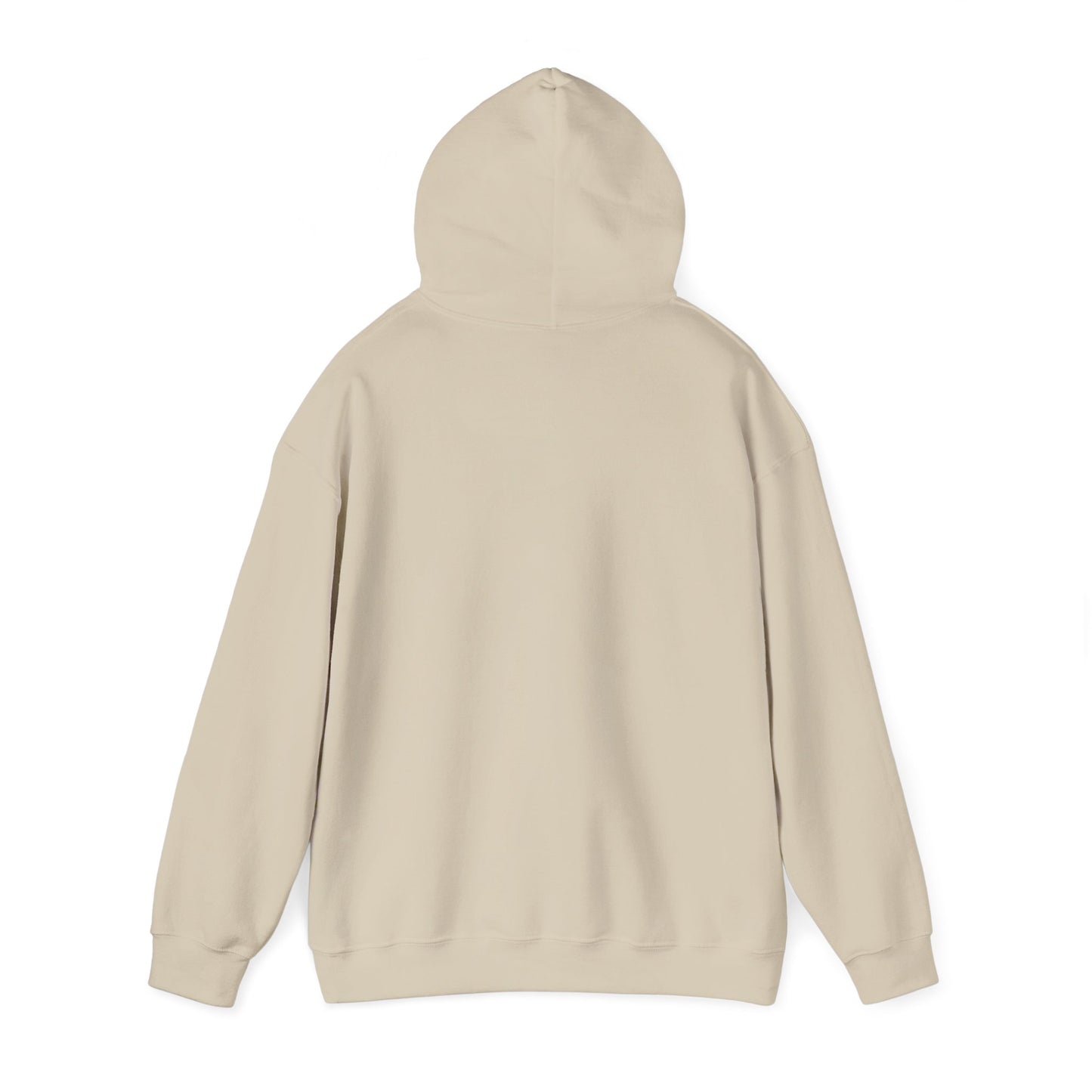 Chasing Golden Hours Hoodie | summer aesthetic, coastal vibes