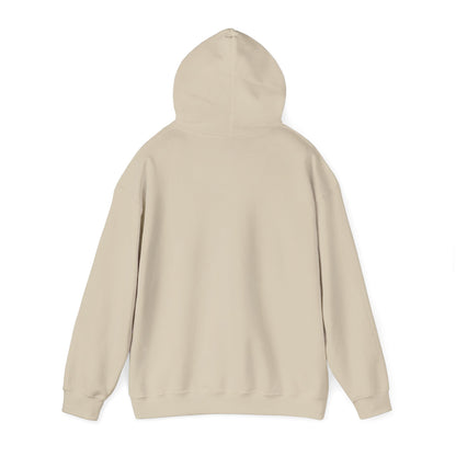 Chasing Golden Hours Hoodie | summer aesthetic, coastal vibes