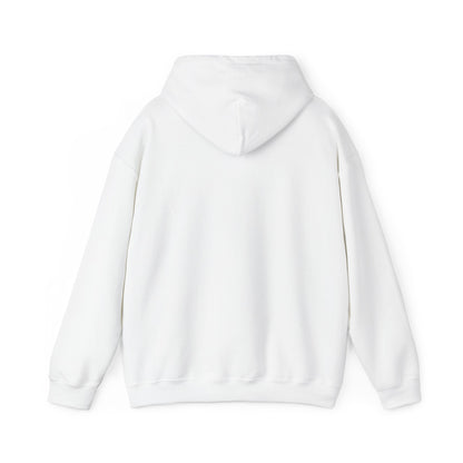 Chasing Golden Hours Hoodie | summer aesthetic, coastal vibes