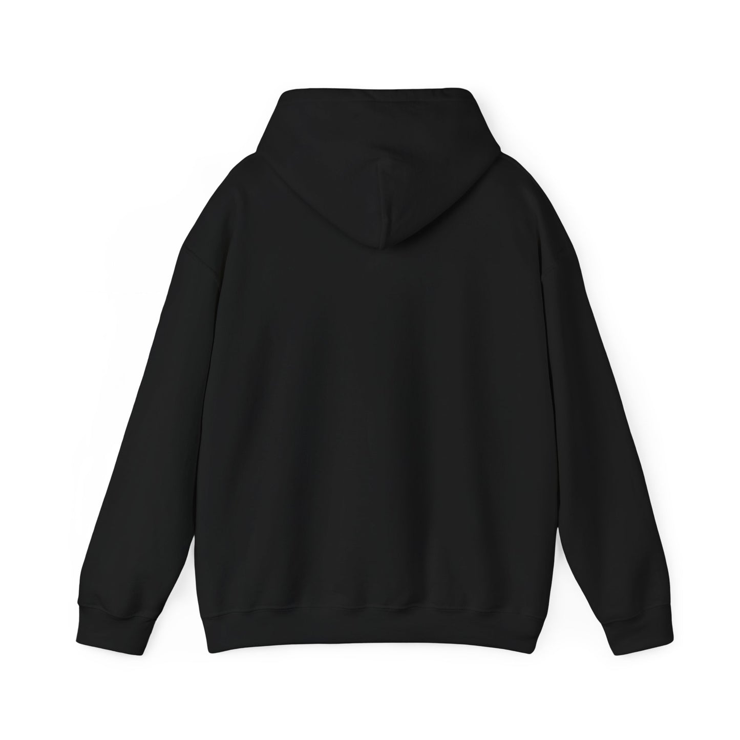 Chasing Golden Hours Hoodie | summer aesthetic, coastal vibes