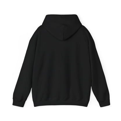 Chasing Golden Hours Hoodie | summer aesthetic, coastal vibes