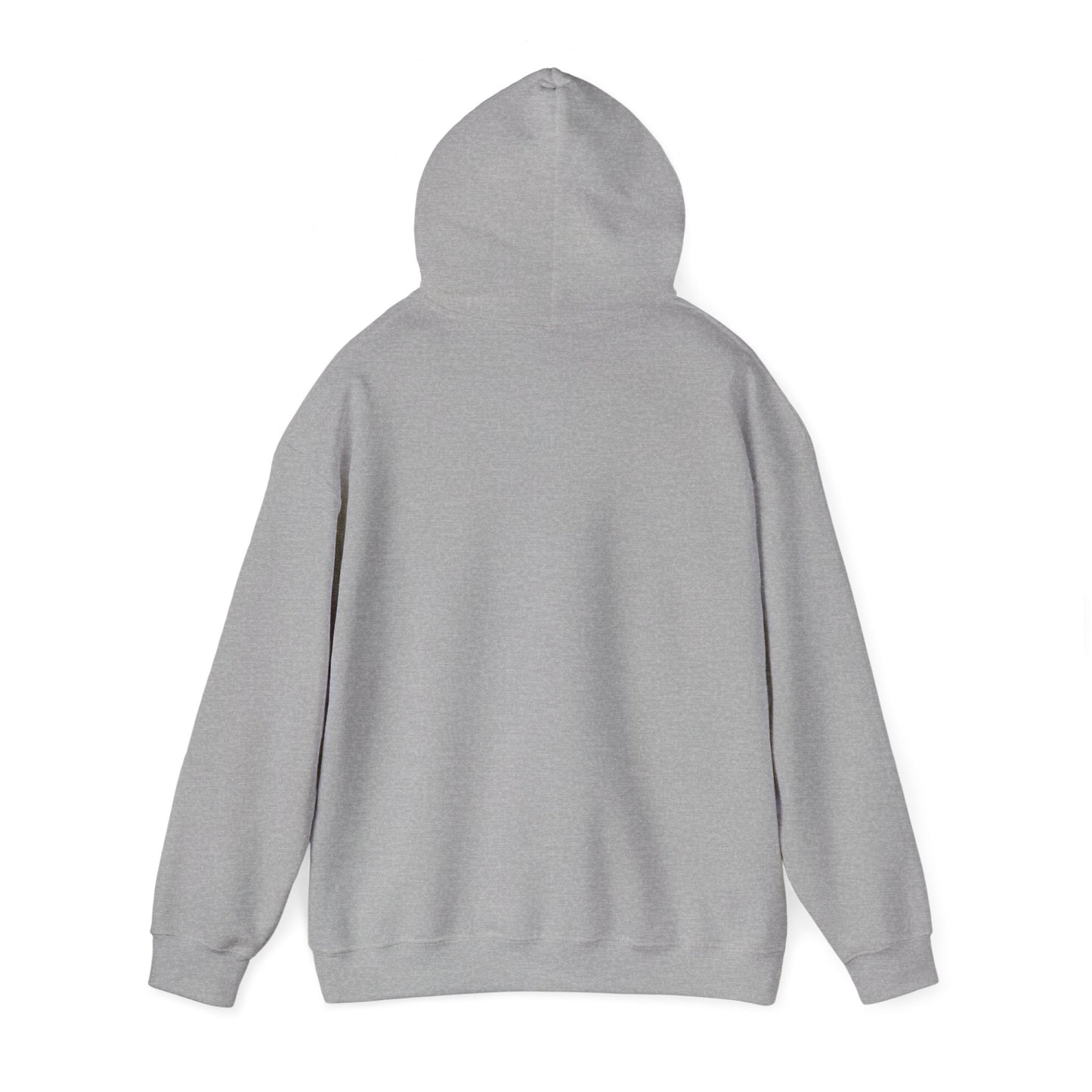 Chasing Golden Hours Hoodie | summer aesthetic, coastal vibes